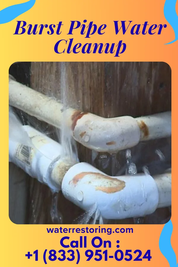 Burst Pipe Water Cleanup in Bremen, KY