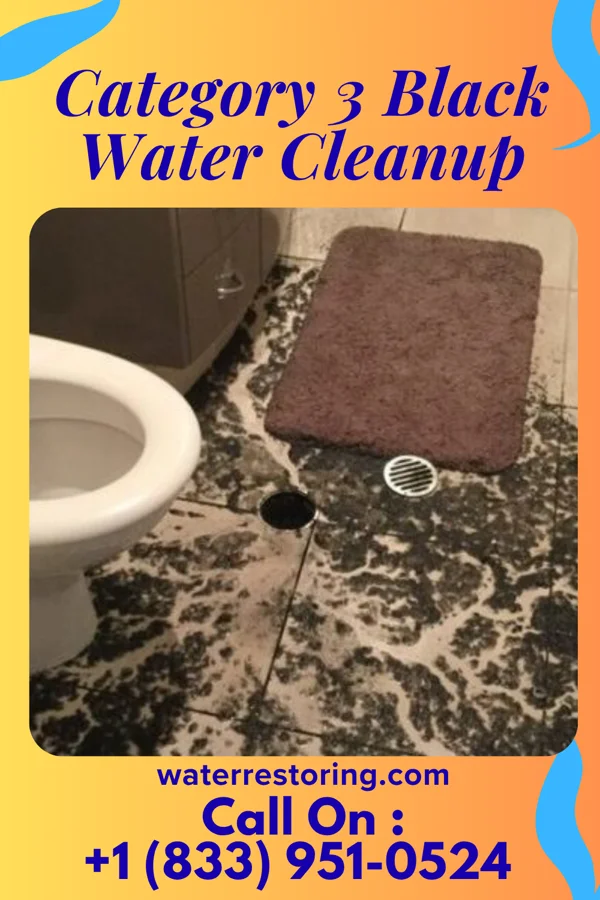 Category 3 Black Water Cleanup in Bremen, KY