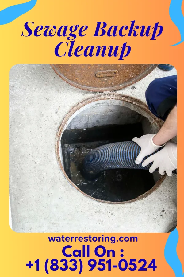 Sewage Backup Cleanup in Bremen, KY