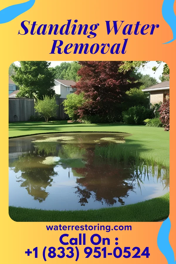 Standing Water Removal in Bremen, KY